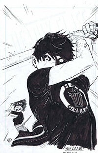 cover